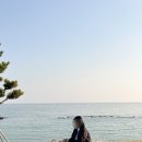 널독(NERDOG) 네이버블로그