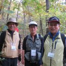 성남고등학교 이미지