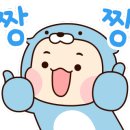 코코업 이미지