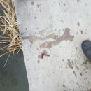 김해농업협동조합주유소 이미지