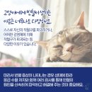 신영통동물병원 이미지