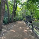 노원골유아숲 이미지