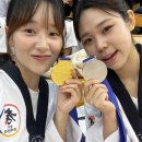 용인대 효태권도장 이미지