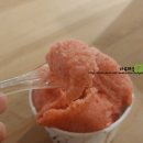 제젤라또 이미지