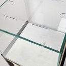 모니아(MONIA) 이미지