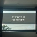 [공지] [전남 가볼만한 곳]강진펜션(더베이)후기🩵