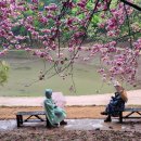 문수목장 이미지