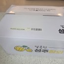 성주참외 농부백서 산지직송 꿀참외 추천