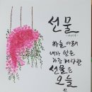 허밍웨이길 이미지