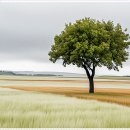 나란이치과교정과치과의원 이미지