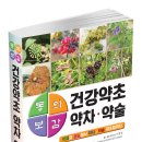 건강약초 이미지