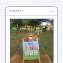 공원펫