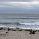 은정약국 이미지