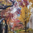 단풍약국 이미지