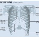 가톨릭마취통증의학과의원 매일경제