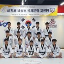 세계로 태권도 이미지