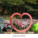 장매마을 이미지