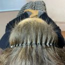 도트앤플로우 이미지