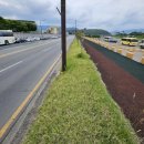 알천남로 이미지