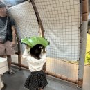 AR트릭아트전 이미지