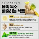 독소배출