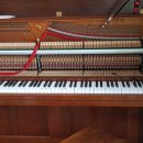 일동상회 이미지