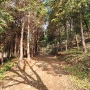 오룡산 등산로 입구 이미지