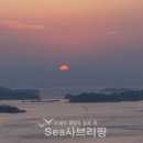 내마음바다죠 이미지