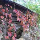 가회식당 이미지