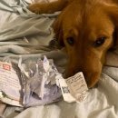 마! 주인 이미지