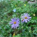 고양누리길 12코스 고양동누리길 이미지