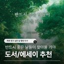좋은 날들 | 힐링 신간도서 에세이 책 추천 [반드시 좋은 날들이 찾아올 거야] 솔직 후기