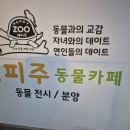 수원-0981 네이버블로그