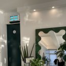 WITH DEW(윗듀) 이미지