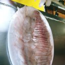 오륙도회센타 | 남해여행 중 찾은 남해맛집 미조항 오륙도회센터 | 쏠비치남해까지 함께한 6만원 포장 회 푸짐한 상