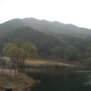 반디펜션 이미지