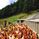 에브라임하우스 이미지