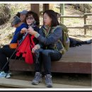 화창한 봄날에 좋은 사람들과 서울대공원 산림욕장을 걷다. 이미지
