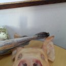 현대대박공인중개사사무소 이미지