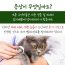 신동동물병원 이미지