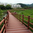 정양늪생명길 이미지