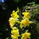 바람에 언덕 이미지