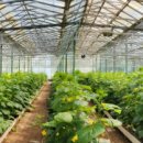 더블유바이오 이미지