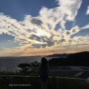 ON-HOUSE | [일본] 나오시마 Benesse House Oval 후기