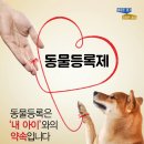 헤세드동물병원 네이버블로그