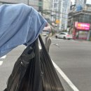 대왕의료기 | [울산] 동구 속이 꽉 찬 대왕김밥 🍽