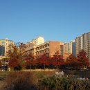 늘푸른농장 이미지