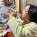 지리산화개깊은골 이미지