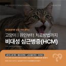 심동물병원 이미지