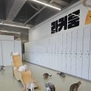 카페쵸이 - 남구 유엔평화로 45 | 음성진천 키즈카페 추천! 하루 종일 놀 수 있는 쵸이캣 충북혁신점 재방문 후기